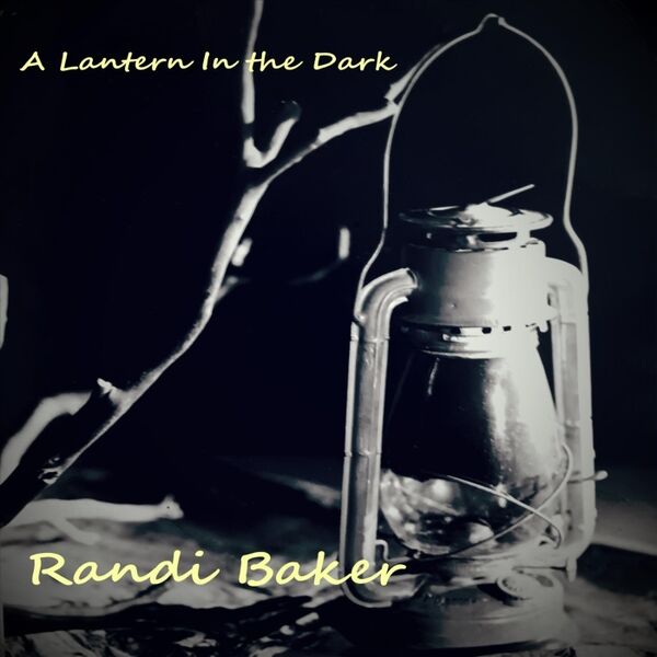 Cover art for A Lantern in the Dark